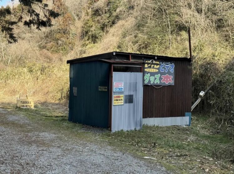 黄书贩卖机的末路：衰老国家血液与色情机器