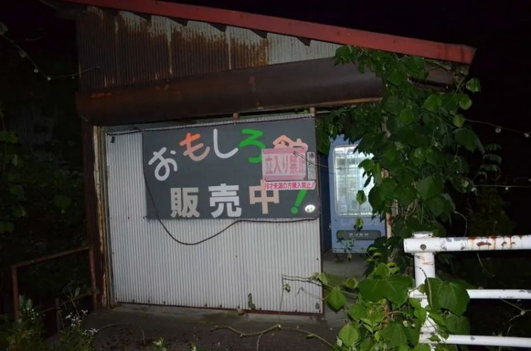 黄书贩卖机的末路：衰老国家血液与色情机器