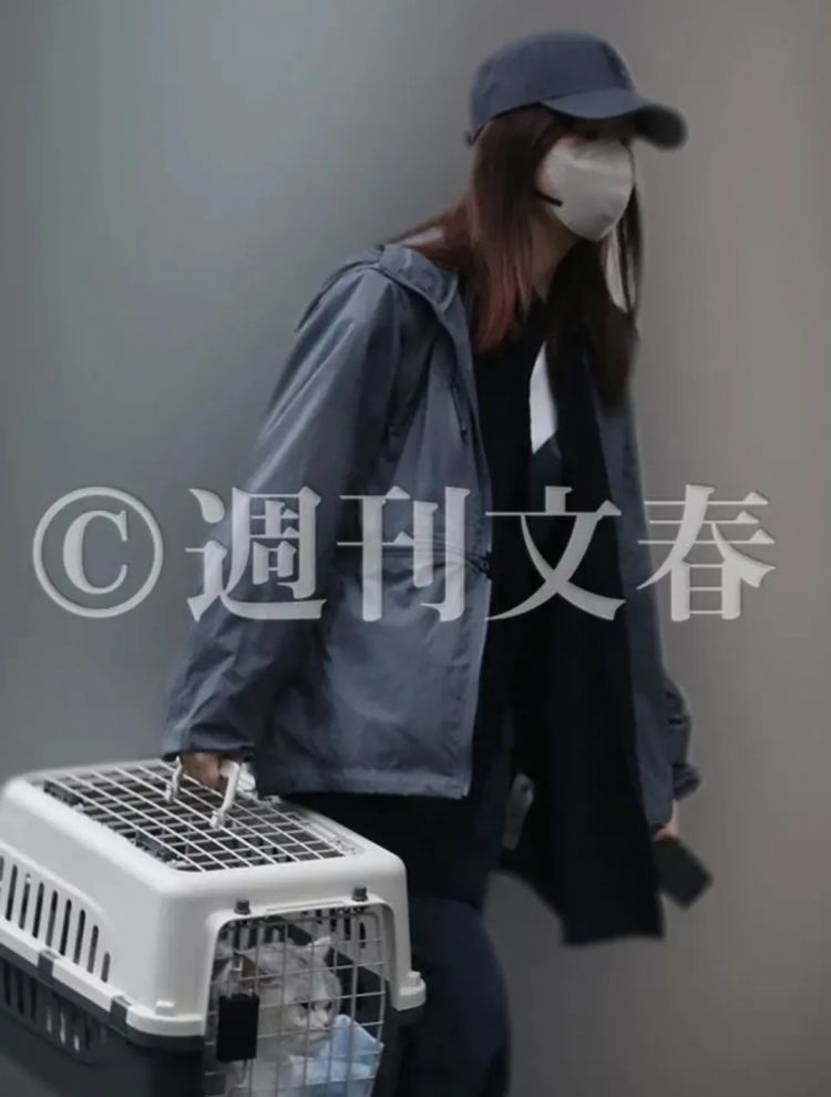 指原莉乃又交新男友了？这次竟是多年老粉犬饲贵丈！