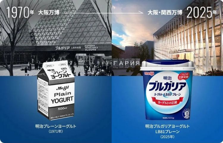 世博会，蕴含着改变我们餐桌的力量