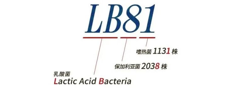 世博会，蕴含着改变我们餐桌的力量