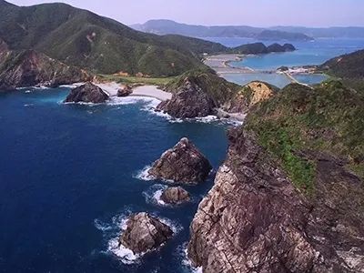 行李箱塞数千只保护动物，三个中国人喜提日本产银手镯