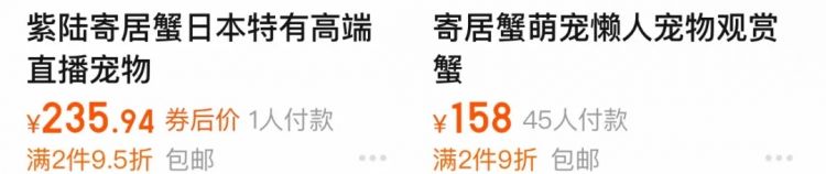 行李箱塞数千只保护动物，三个中国人喜提日本产银手镯