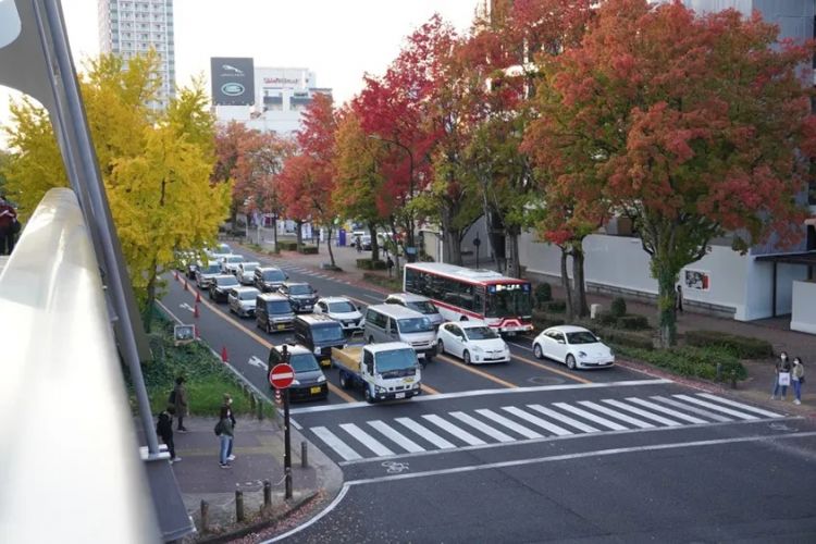 出国税暴涨5倍，日本要对外国游客下狠手了？