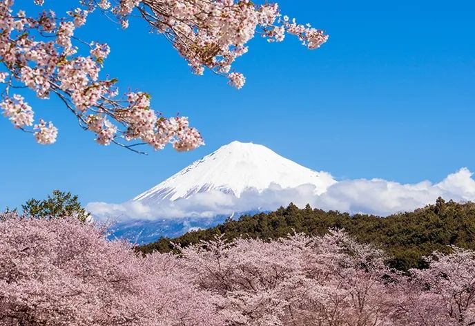 出国税暴涨5倍，日本要对外国游客下狠手了？