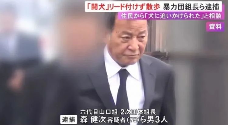 笑不活！日本黑帮老大遛狗不拴绳被捕，警察一句话送他进局子：不懂规矩就别养狗