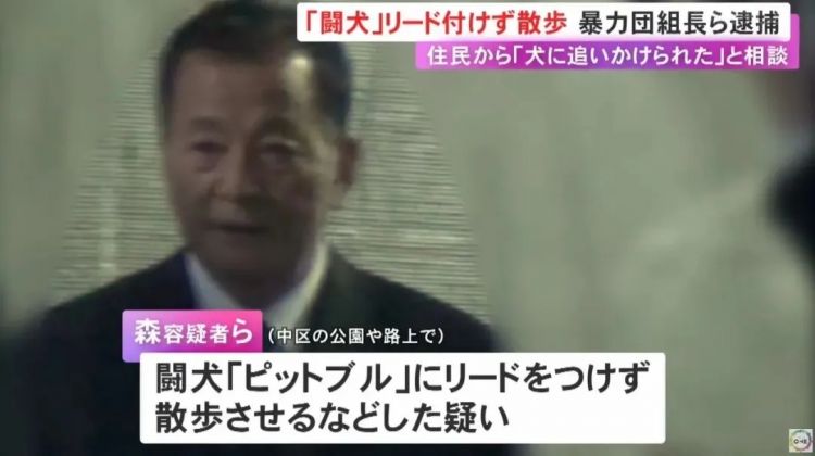 笑不活！日本黑帮老大遛狗不拴绳被捕，警察一句话送他进局子：不懂规矩就别养狗
