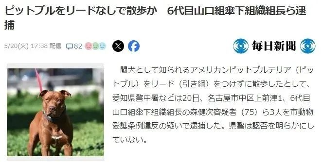 笑不活！日本黑帮老大遛狗不拴绳被捕，警察一句话送他进局子：不懂规矩就别养狗