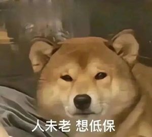 笑不活！日本黑帮老大遛狗不拴绳被捕，警察一句话送他进局子：不懂规矩就别养狗