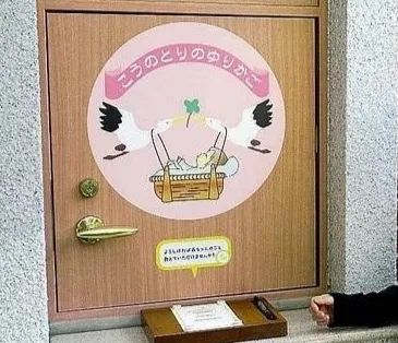 第239期：滨崎步否认与马斯克生子；日本水产进口恢复进入议程？AKB20周年 前田敦子回归；坂井泉水逝世18周年 | 百通板