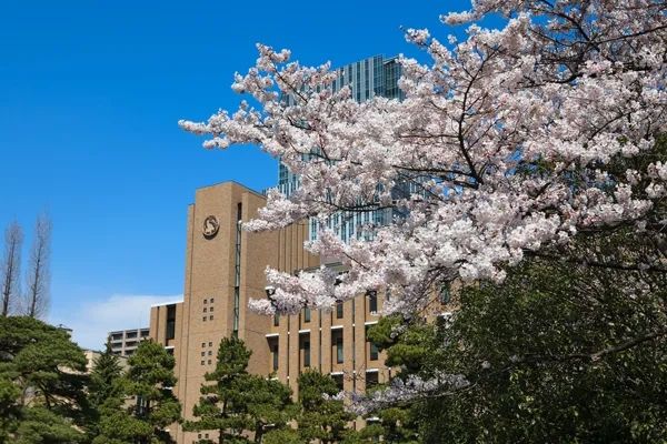日本的清北复交有哪些？盘点那些日本名校