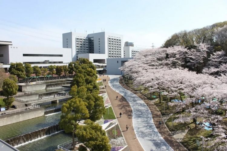 日本的清北复交有哪些？盘点那些日本名校