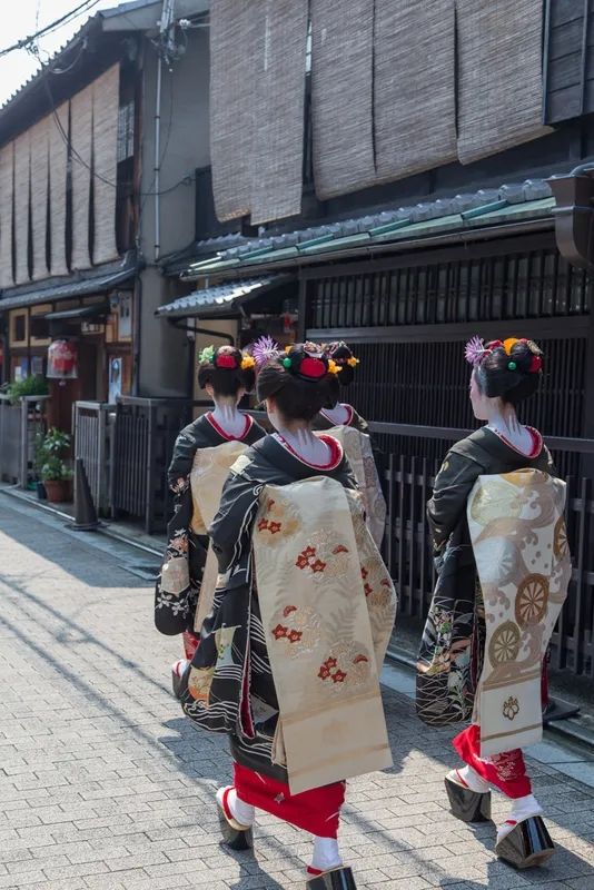 日本未成年舞妓被逼饮酒卖身，是传统还是奴役？