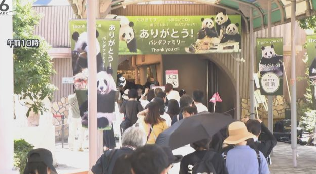 和歌山冒险世界 4只大熊猫启程返华 工作人员依依惜别