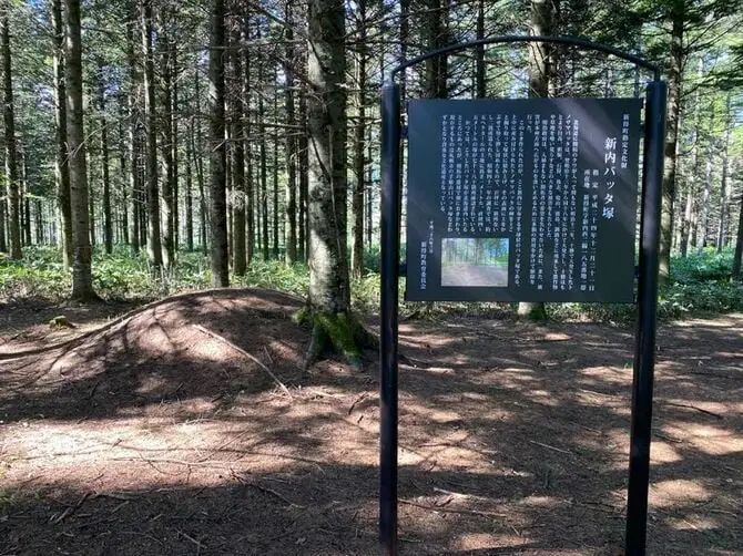 给蟑螂立碑、超度豚骨拉面...?这世上还有什么东西是日本人不能拜的...?