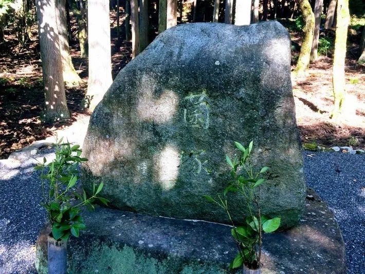 给蟑螂立碑、超度豚骨拉面...?这世上还有什么东西是日本人不能拜的...?