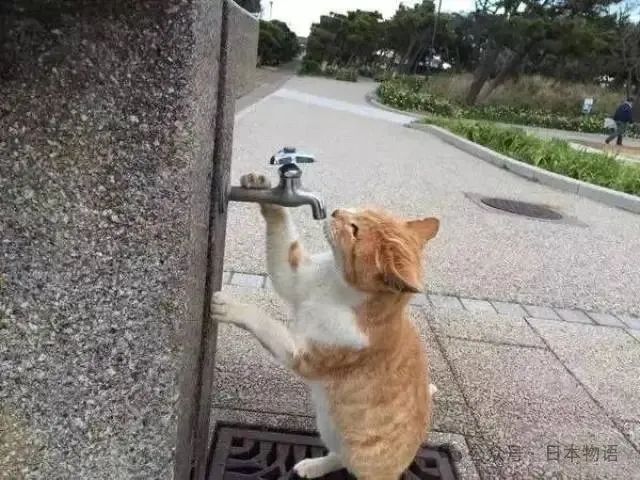 既然日本公园的自来水都能直接喝，那为何日本人还要买瓶装水？