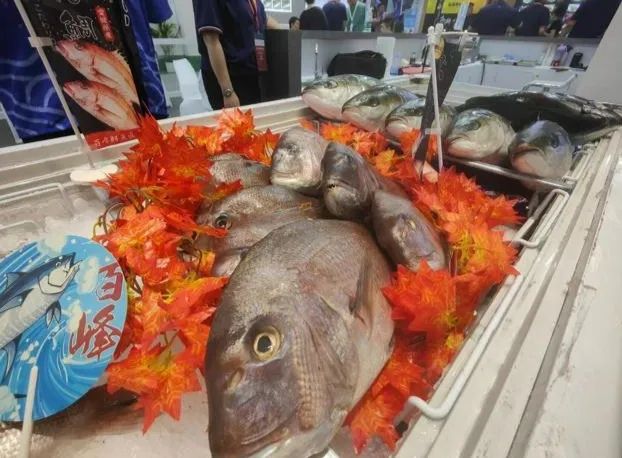 第243期：中国恢复日本水产进口；日航万米高空生死迫降；佐佐木希首谈丈夫出轨；秋元康男版AKB来了？| 百通板
