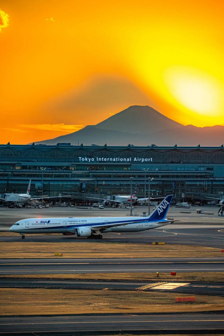 第243期：中国恢复日本水产进口；日航万米高空生死迫降；佐佐木希首谈丈夫出轨；秋元康男版AKB来了？| 百通板