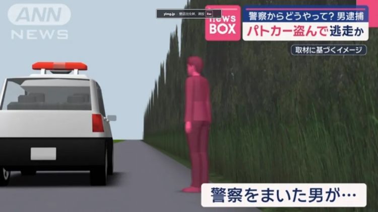 日本警察捉贼被偷家，警车反被开走了...