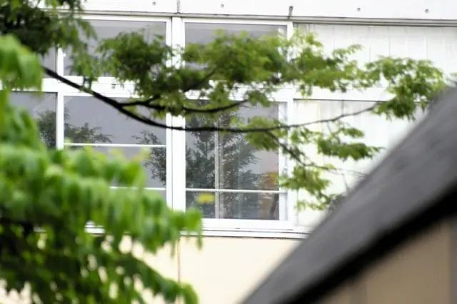 京大中国留学生替考丑闻，竟牵扯出了800多人的庞大网络？以后在日本考试要变麻烦了...