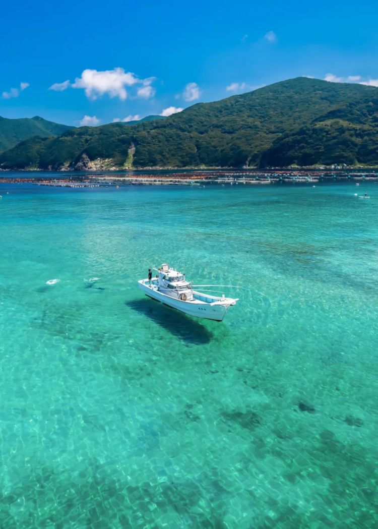 第245期：滨边美波永濑廉热爱？鹿儿岛群震超两千次；日本将建共享养老院；和牛重返中国市场？日本校园偷拍问题严峻 | 百通板