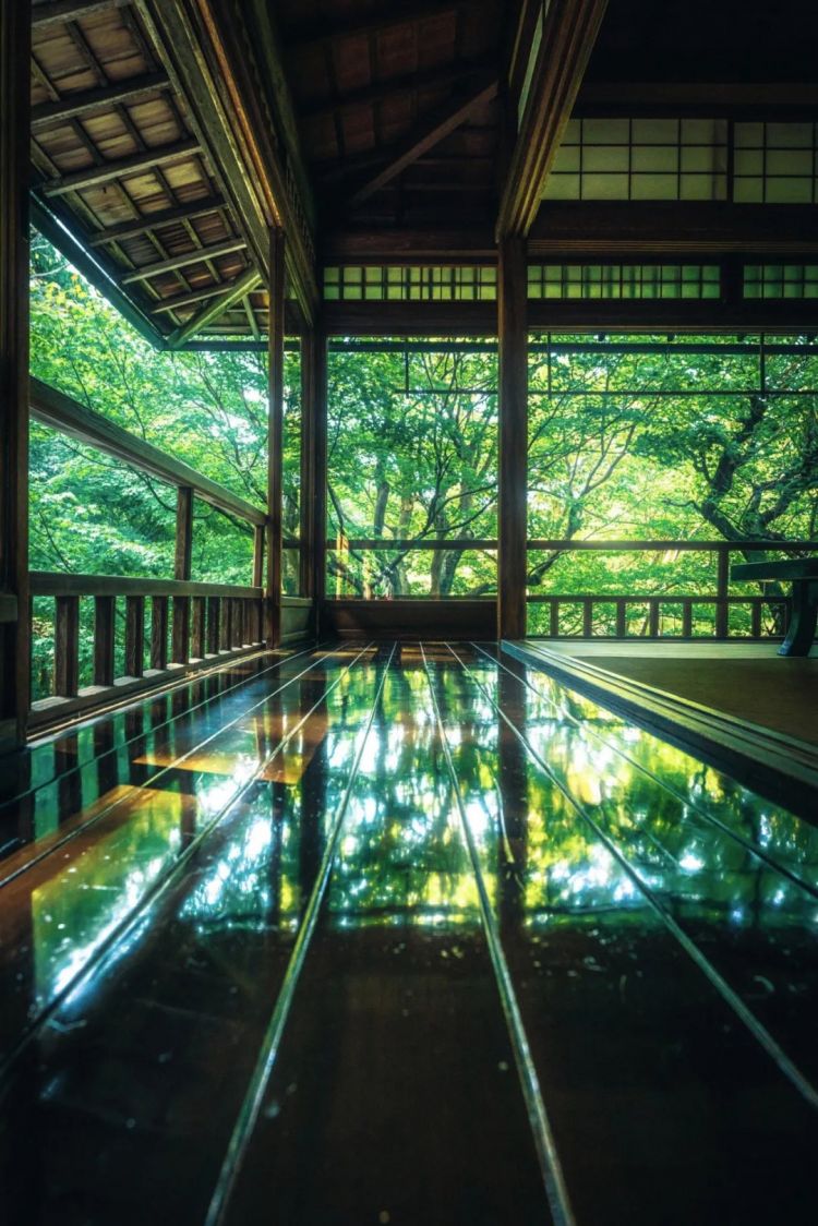 第245期：滨边美波永濑廉热爱？鹿儿岛群震超两千次；日本将建共享养老院；和牛重返中国市场？日本校园偷拍问题严峻 | 百通板