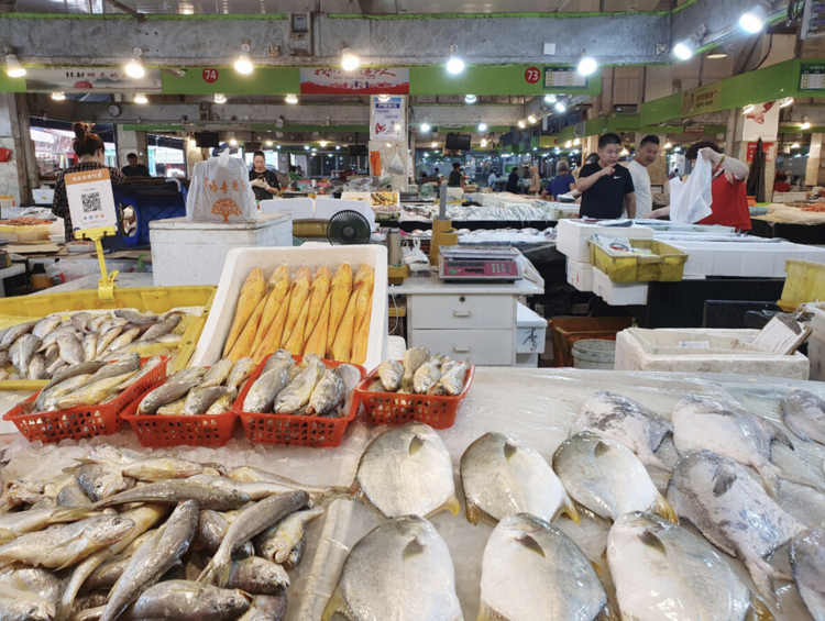 中国恢复日本449种水产品进口 含金枪鱼、扇贝、蟹类等
