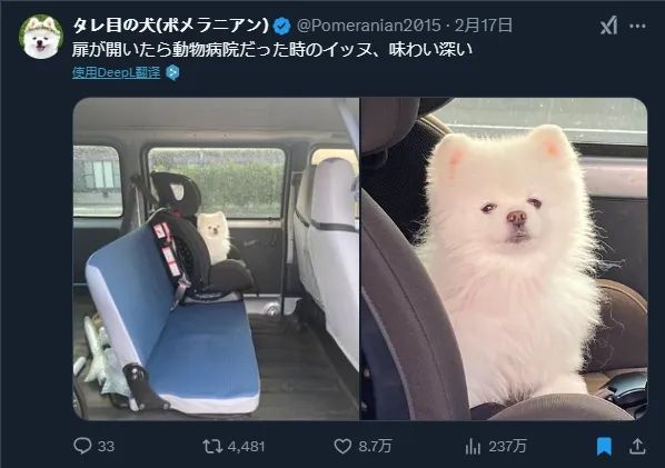 日本网友又在瞎说什么大实话？第58回