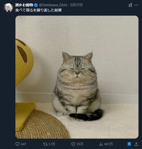 日本网友又在瞎说什么大实话？第58回