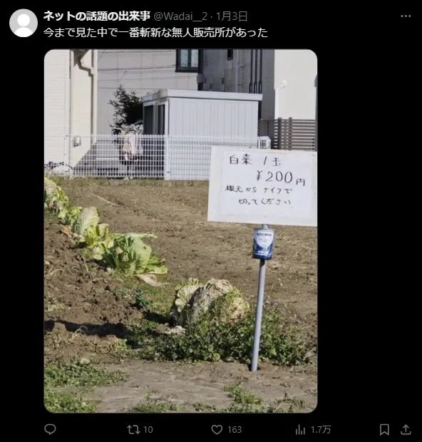日本网友又在瞎说什么大实话？第58回