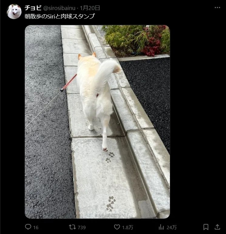 日本网友又在瞎说什么大实话？第58回