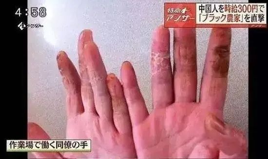 日本，比缅甸还要可怕