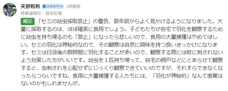 中国人在公园狂抓知了猴，日本人看傻了：“求放过！”