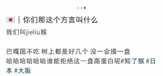 中国人在公园狂抓知了猴，日本人看傻了：“求放过！”