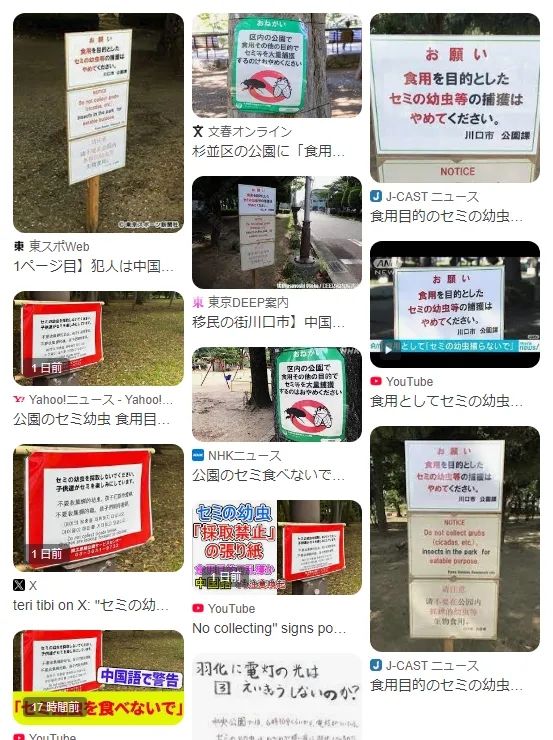 中国人在公园狂抓知了猴，日本人看傻了：“求放过！”