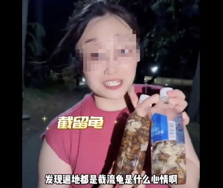 中国人在公园狂抓知了猴，日本人看傻了：“求放过！”