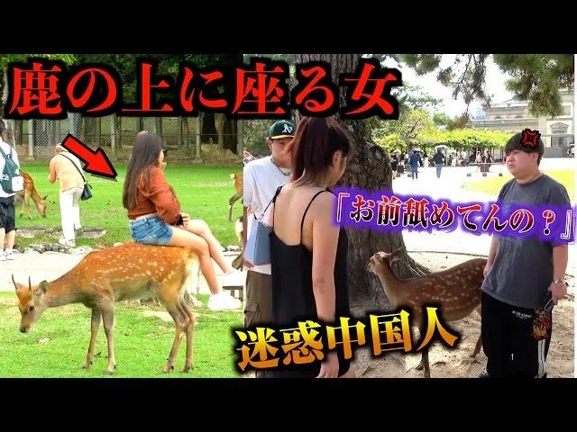 6次被捕，疯狂碰瓷中国人！这样的人竟当上奈良议员？