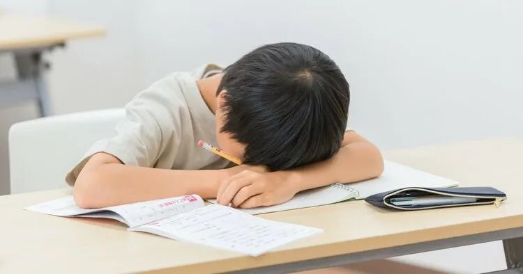 3600元能鼓励生娃？日本妈妈年薪1200万都高呼：养不起