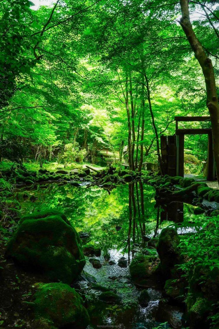 第247期：海啸预警！末日预言又灵验了？杰尼斯恋爱潮 有村架纯高桥海人持续热恋中；日本放宽本科留学？ | 百通板