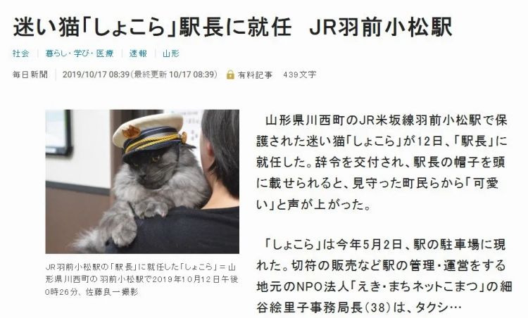 一觉醒来，我家猫考上编了？！（内含大量猫猫图