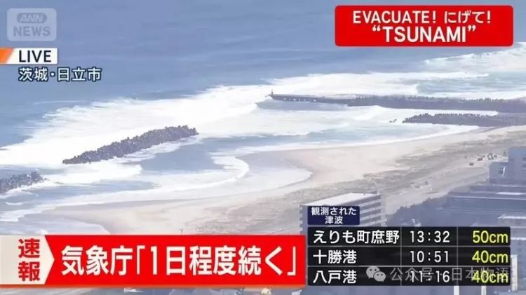 日本海啸警报全开，全国各大电视台严阵以待，唯独东京电视台还在卖香菇……