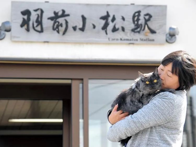 一觉醒来，我家猫考上编了？！（内含大量猫猫图