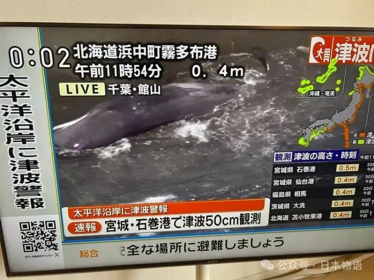 日本海啸警报全开，全国各大电视台严阵以待，唯独东京电视台还在卖香菇……