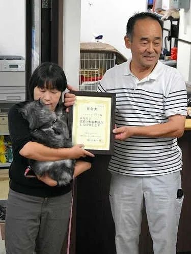 一觉醒来，我家猫考上编了？！（内含大量猫猫图