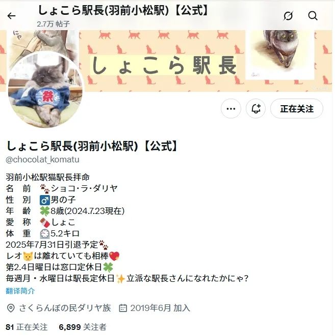 一觉醒来，我家猫考上编了？！（内含大量猫猫图