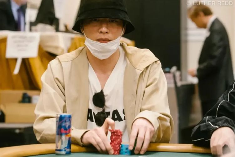 永野芽郁事业全毁，田中圭豪赌赢奖金，出轨真的只怪女人？