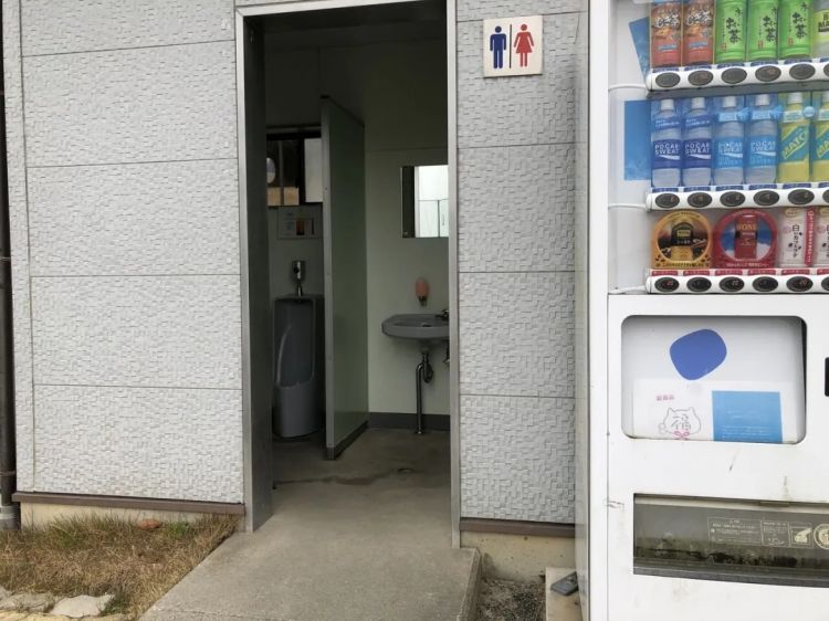 日本小学竟还在用男女共厕？网友：这也太尴尬了吧！