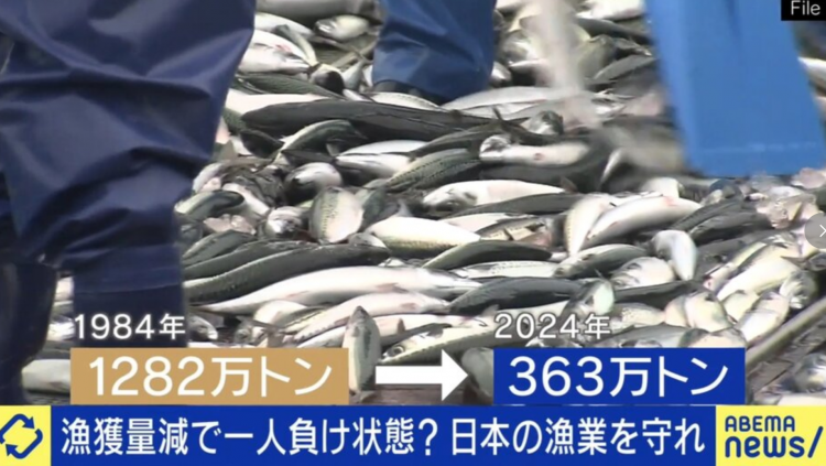 日本渔业濒临崩溃边缘 专家警告25年后恐无鱼可捕