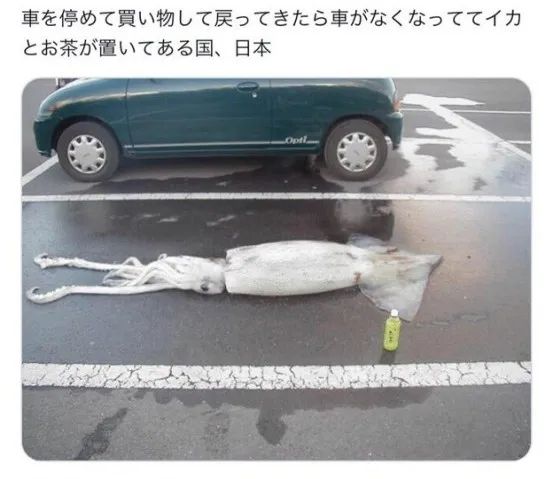 这个夏天，日本网友又在瞎说什么大实话？第59回